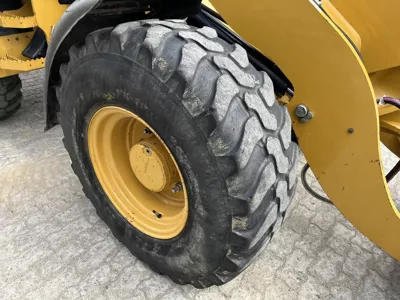 81619