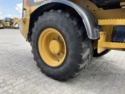 81619