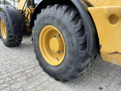 81619