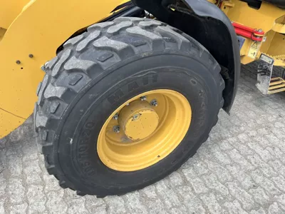 81619